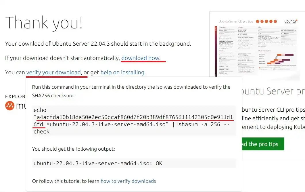 Copy ISO Url and SHA256 checksum